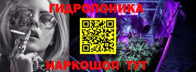 спиды Дубна