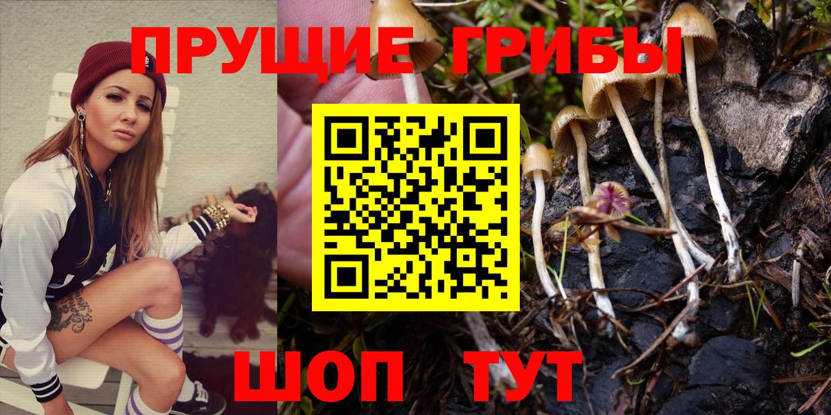 Галлюциногенные грибы мицелий  Галлюциногенные грибы мухоморы  Моздок  Вход с VPN 